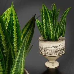 Historical Vase