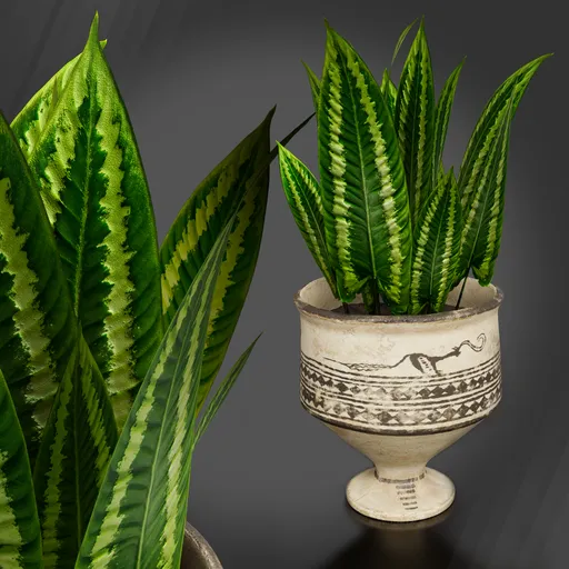 Historical Vase