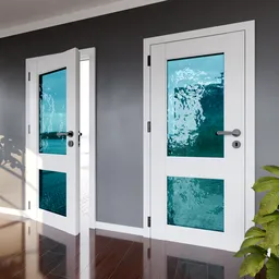 White Door with glass