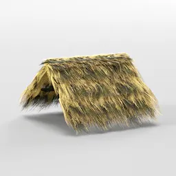 Straw Roof Thatch