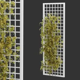 Grid Ivy Autumn Plant AQ