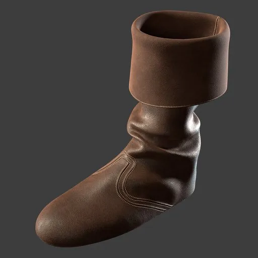 Shoe