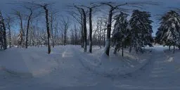 Snowy Forest Path 01