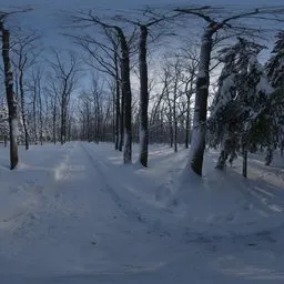 Snowy Forest Path 01