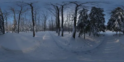 Snowy Forest Path 01