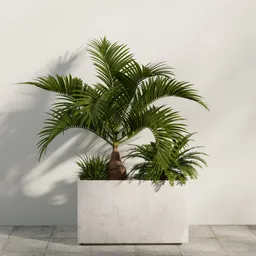 Tree and bush garden box outdoor small