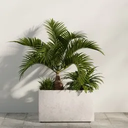 Tree and bush garden box outdoor small