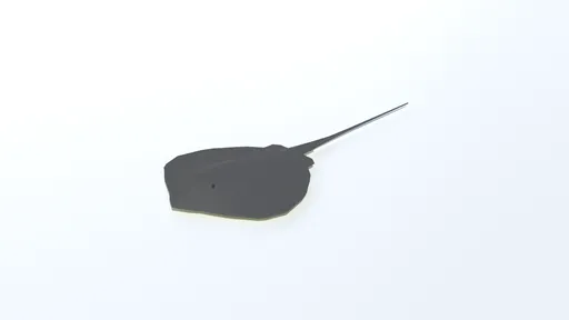 Low Poly Stingray