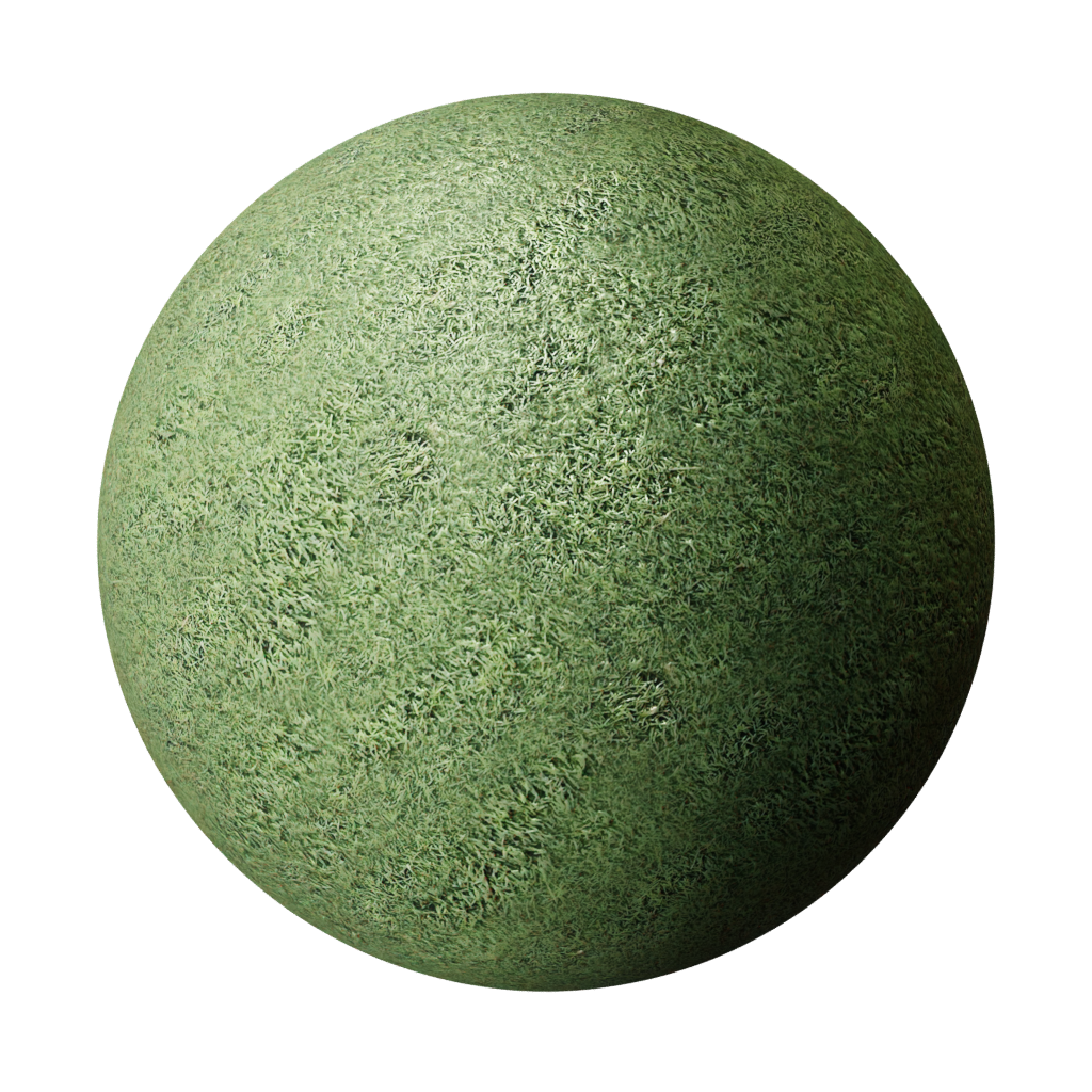 BlenderKit Download the FREE Grass Astroturf material