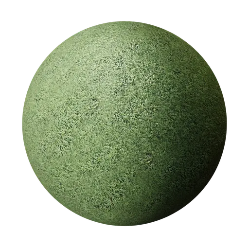 Grass