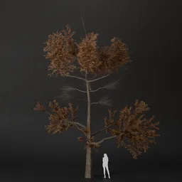 SJ-Chilly Breeze Pine Tree