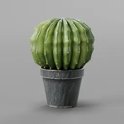 Faux Cactus Plant in Pot