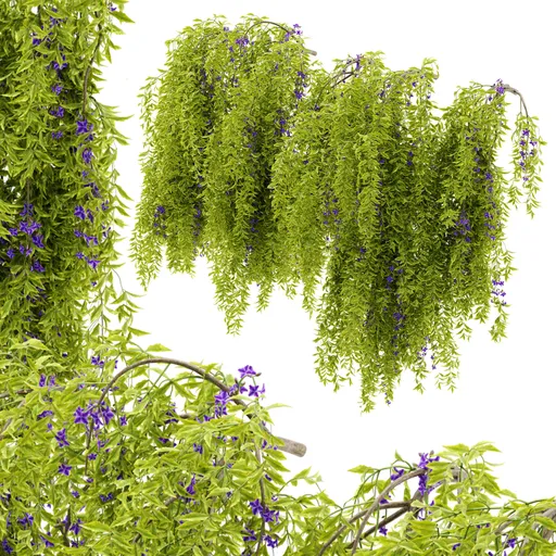 flower hanging wall plant
