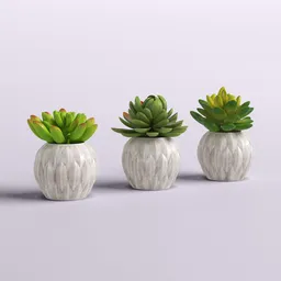 Set of 3 Artificial Succulent Plants