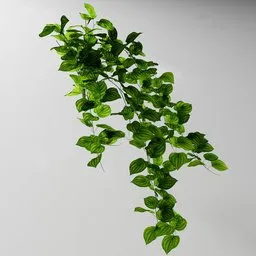 "Artificial tendril Peperomia v2 3D model for Blender 3D. Inspired by real products in the indoor nature category, this untextured model features vines and large basil leaves reaching out from a vase on a table."
or
"Nature-inspired 3D model for Blender 3D of an artificial tendril Peperomia v2, featuring untextured vines and large basil leaves in a vase on a table. Created using the Bagapia addon with geometry nodes."