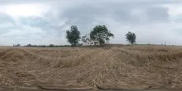 Rural scenery with golden wheat field and farmhouse for HDR lighting in 3D scenes.