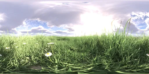 Morning grass green cloud 16k