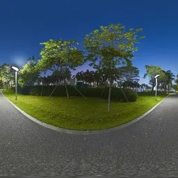Night Trail