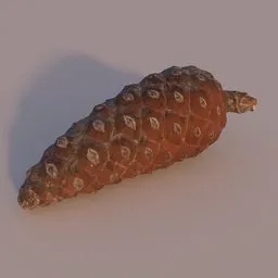 Pine Cone