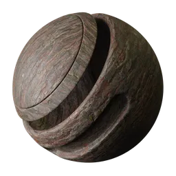Rough Tree Bark Wood