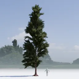 Pine Tree Low Poly variation