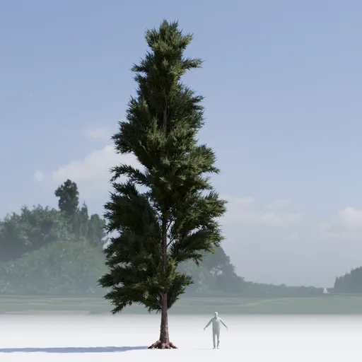 Pine Tree Low Poly variation