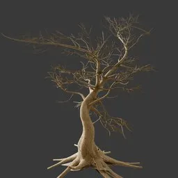 Dry Crooked Tree