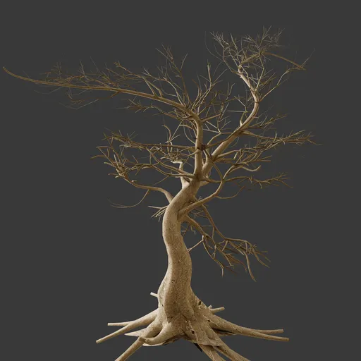 Dry Crooked Tree