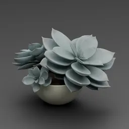 Decorative Echeveria Succulent Pot