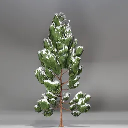 Snow Pine Toon Tree
