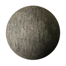 Rotten Wood
