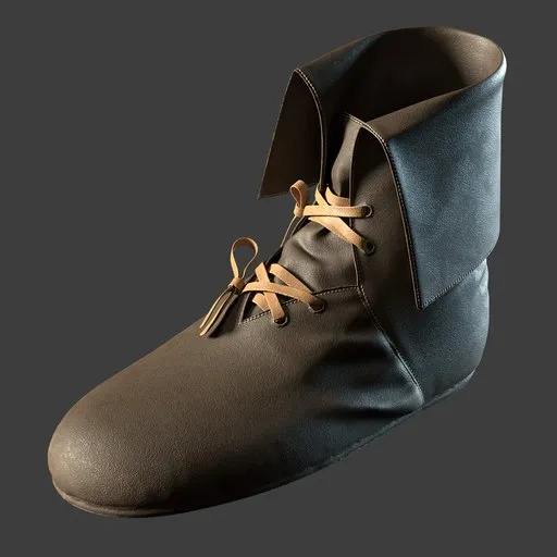 Shoe