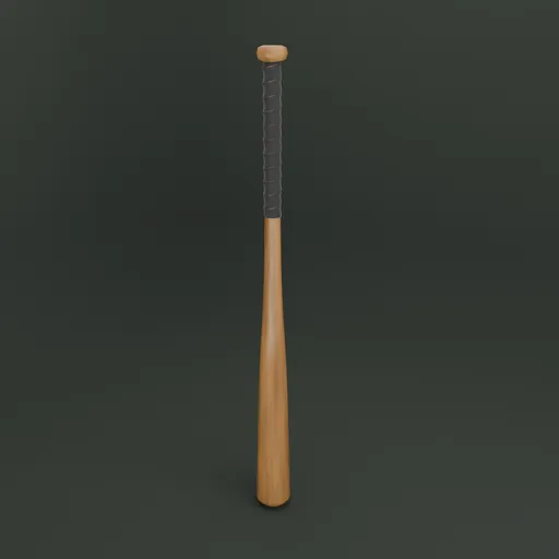 Baseball Bat