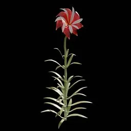 Fantasy Flower