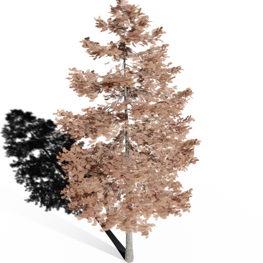 Detailed 3D Douglas Fir model with brown foliage, optimized for autumnal scene rendering in Blender.