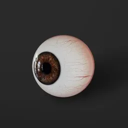 Eyeball
