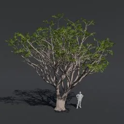 "Highly-detailed 3D model of a Red Coral Tree, perfect for cinematics. Textured with PBR materials and optimized for Blender 3D software."