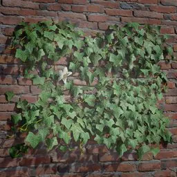 Realistic 3D model of ivy creeper on tile for Blender, suitable for enhancing virtual outdoor scenes.