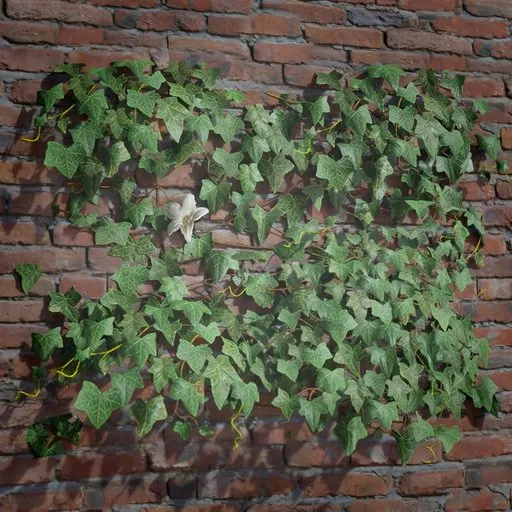 Realistic 3D model of ivy creeper on tile for Blender, suitable for enhancing virtual outdoor scenes.