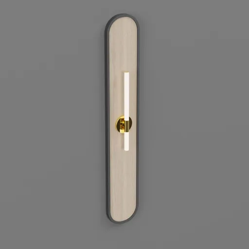 Modern Designer Wall Lamp