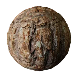 Douglas Fir Tree Bark