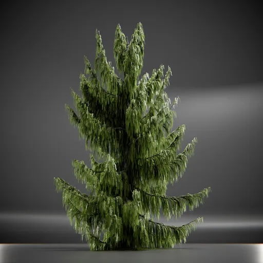 Tree Weeping Nootka Animated