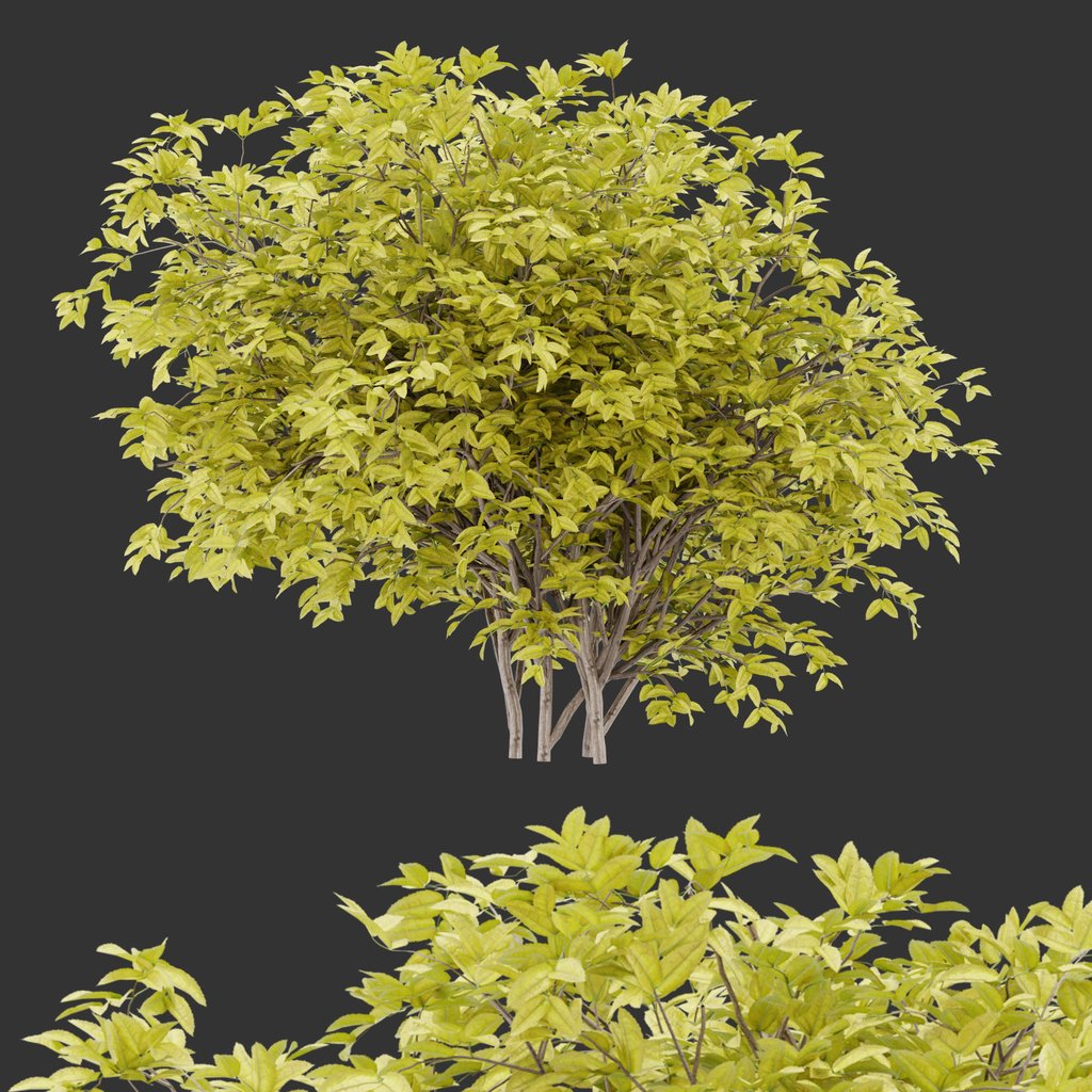 Simple bush Autumn Plant | Outdoor Plants models | BlenderKit