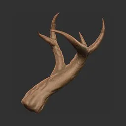 Branched Deer Antler