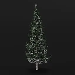 Christmas Tree Green White Elder