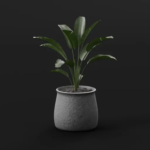 Planter