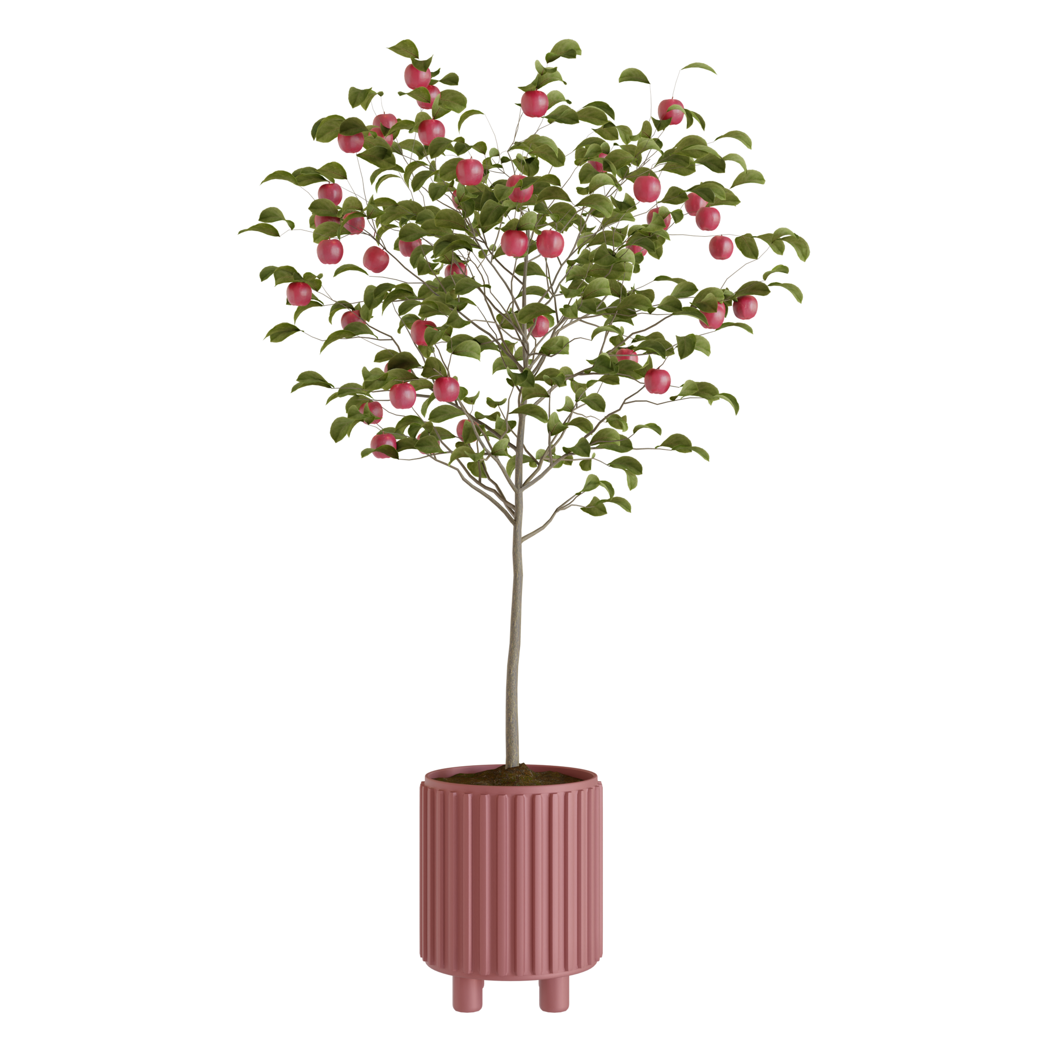 fruit-tree-3d-outdoor-models-blenderkit