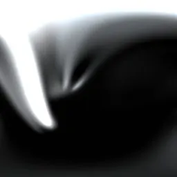 Studio Black and White