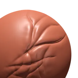3D Wrinkle Brush sculpting detail on model surface, compatible with Blender for realistic texture effects.