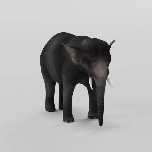 Animated Elephant (Rigify Rig)